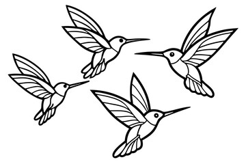 Hummingbird Line Art Bundle