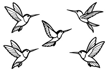 Hummingbird Line Art Bundle