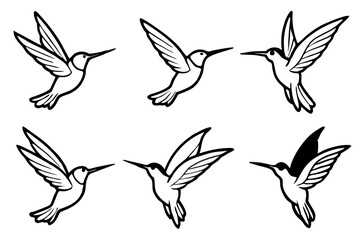 Hummingbird Line Art Bundle