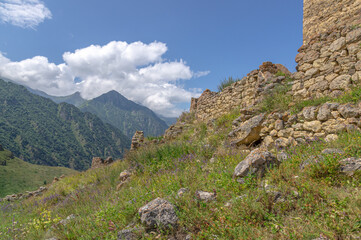 Flowers are blooming on the ruins of an ancient city in the mountains. Nature in the mountains in summer. Stone blocks of buildings of the ancient city.