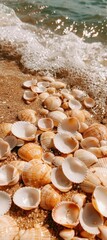 Seashells scattered on a sandy beach as gentle waves wash ashore under sunlight.