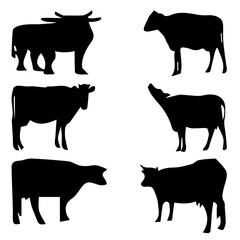 black cow vector. cow vector art, icons and graphics illustration image. cute cow