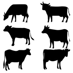 black cow vector. cow vector art, icons and graphics illustration image