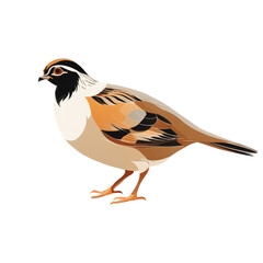 Fototapeta premium Stylized colorful bird artwork with minimalist design and soft brown background