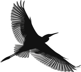 Obraz premium flying bird silhouette