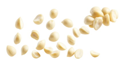 Scattered Macadamia Nuts on Transparent Background Ideal for Healthy Snack or Gourmet Cooking