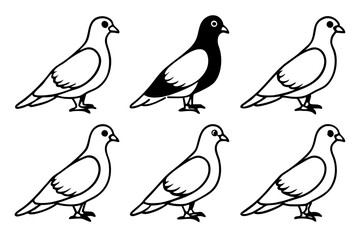 Fototapeta premium Minimalist Pigeon Vector Set
