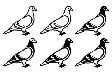 Minimalist Pigeon Vector Set