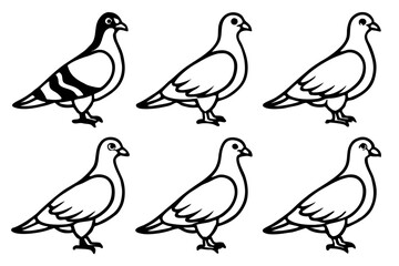 Fototapeta premium Minimalist Pigeon Vector Set