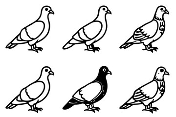 Fototapeta premium Minimalist Pigeon Vector Set