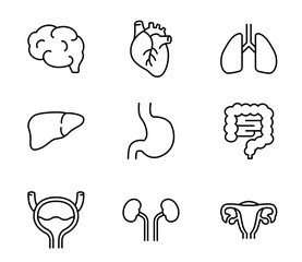 シンプルな内臓のアイコンイラストセット　ベクター
