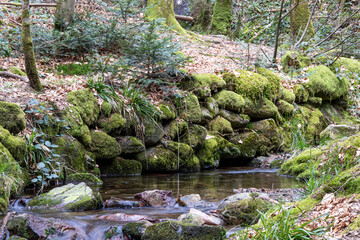 Oberhalb der Edelfrauenwasserfälle in Ottenhöfen 