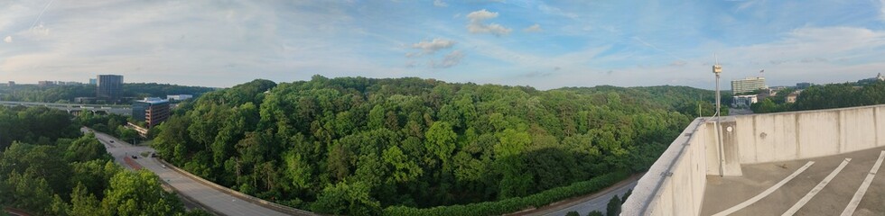 Fototapeta premium city in the forest
