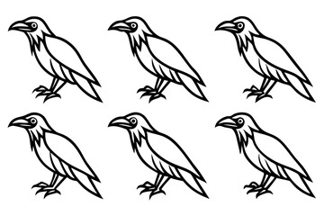 Raven Outline Design Collection