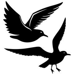 silhouette of a bird