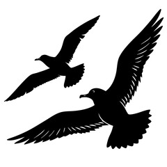 eagle in flight