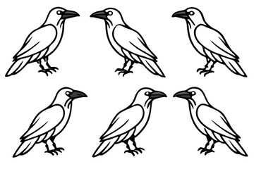 Raven Outline Design Collection