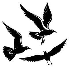 silhouette of a bird