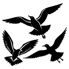 silhouettes of birds