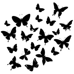 Fototapeta premium set of butterflies