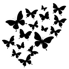 set of butterflies vector