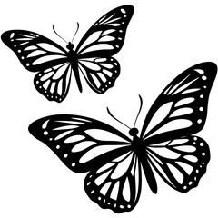 butterfly vector illustration