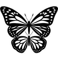 butterfly vector illustration