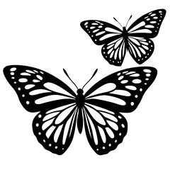 butterfly vector illustration