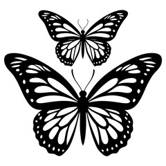 black and white butterfly