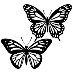 black and white butterfly