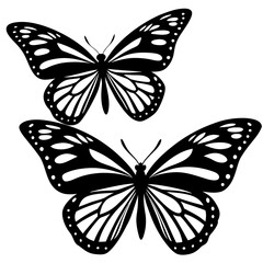 black and white butterfly
