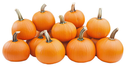 Obraz premium Bountiful Display of Fresh, Round Orange Pumpkins on a Transparent Background for Seasonal Decor