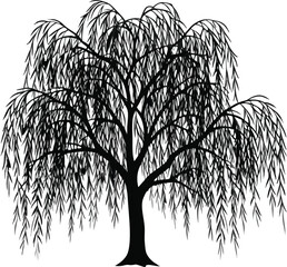 Weeping Willow Tree Silhouette  Willow Tree Silhouette design for high quality black and white  Black silhouette of willow tree © all silhouette