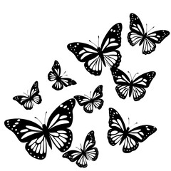 Obraz premium set of butterflies