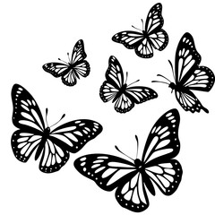 Fototapeta premium set of butterflies