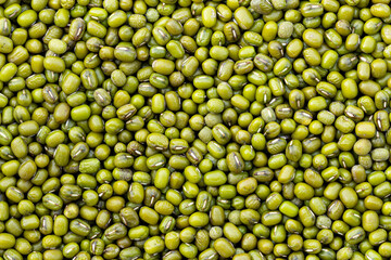Raw seeds of Vigna radiata, Mung beans