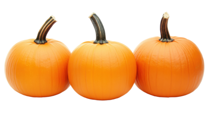 Three Fresh Orange Pumpkins with Green Stems Isolated on Transparent Background for Autumn Activities