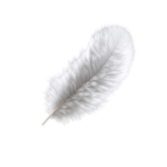 Single white feather with soft, delicate texture isolated on transparency background, symbolizing purity and lightness