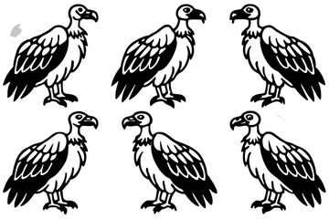 Vulture Sketch Line Art Collection