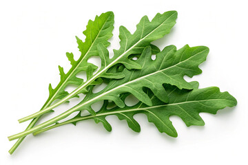 Fresh arugula green leaves isolated neatly on transparent background