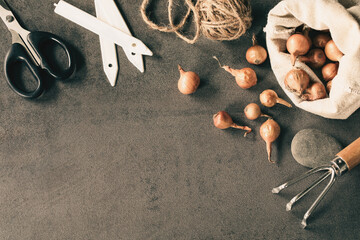 Set of garden hand tools, plant bulbs, stones and ball of jute rope on a gray background, top view, copy space.