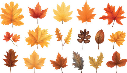 Fototapeta premium Collection of Watercolor Autumn Leaves Isolated on White Background Featuring Various Maple Oak and Other Tree Leaves in Shades of Yellow Orange Brown and Red