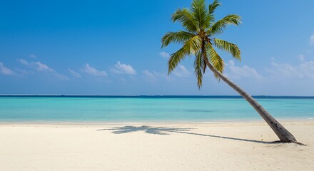 Fototapeta premium Serene Tropical Beach Scene Palm Tree on Pristine White Sand and Turquoise Water