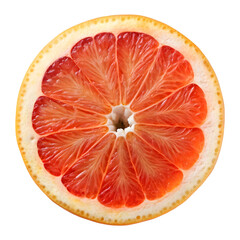Wheel Slice of Grapefruit – Citrus Fruit Cross-Section on Pure White Background

