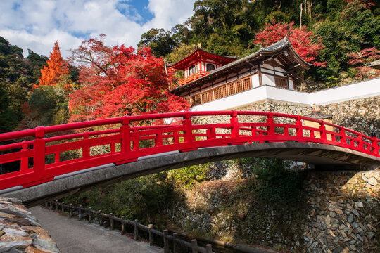 Red bridge of Ryuanji Kyakuden temple in autumn, Minoh, Osaka