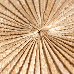 Close-up macro of natural wooden bamboo toothpicks on a white background, highlighting their dry, textured surface and linear pattern