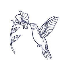 Minimalist Line Art Hummingbird Feeding from Flower Outline - Delicate Nature Illustration for Coloring and Design