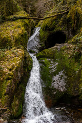 Edelfrauenwasserfall im Schwarzwald