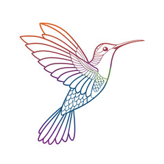 Stylized Hummingbird Line Art with Gradient Colors - Detailed Outline Drawing for Coloring Pages and Creative Designs