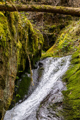 Edelfrauenwasserfall im Schwarzwald